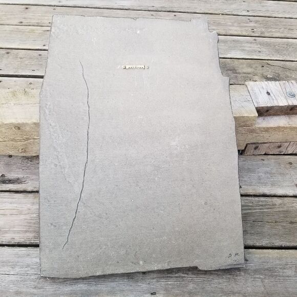 George Turner Limited Edition Hand Painted Relief Sculpture "TIMBER WOLF" 1992 - Picture 6 of 8